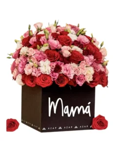 Diama053