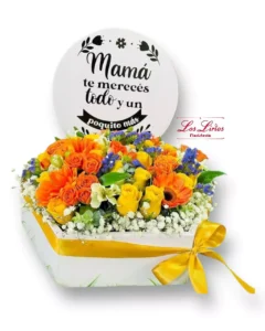 Diama078