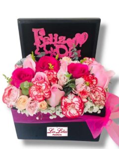 Diamu006