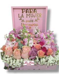 Diamu023