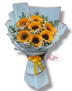 Diamu043