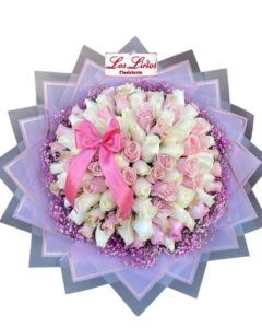 Diamu055