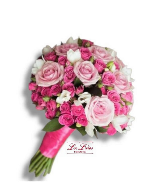 Ramo027